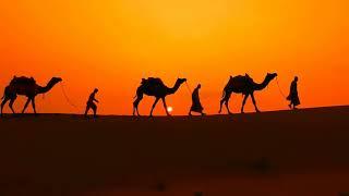 ️ No Copyright cameleers camel drivers at sunset thar desert on sunset jaisalmer rajasthan india