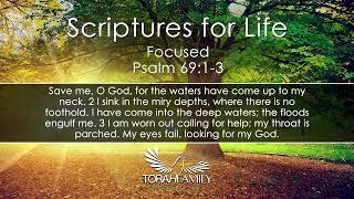 Scriptures for Life | Focused