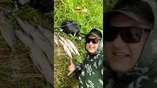 ПОДПИСЫВАЙСЯ #lifefisher #рыбалка #2024 #спиннинг #щука #pike #fishing #шортс #рыба #рыбак #shorts