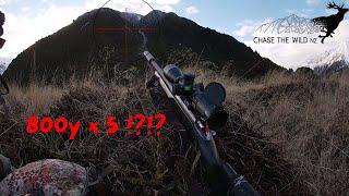 5 SHOTS = 5 DEER | HUNTING COMPETITION IN NZ MEANS I'M SHOOTING LONG! PUSHING THE LIMITS PAYS OFF!