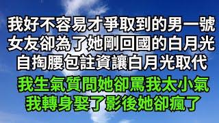 我好不容易才爭取到的男一號，女友卻為了她剛回國的白月光，自掏腰包註資讓白月光取代，我生氣質問她卻罵我太小氣，我轉身娶了影後她卻瘋了【一窗昏曉】#落日溫情#情感故事#花開富貴#深夜淺讀#家庭矛盾#爽文