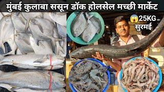 Colaba Wholesale Fish Market | Colaba Fish Market Mumbai | Sassoon Dock Fish Market Latest Video