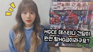 [건프라] HGCE 데스티니 건담이 RG보다 예쁘다고? 둘 다 만들어서 비교해보자! 