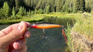 Jerkbait fishing for River Trout!