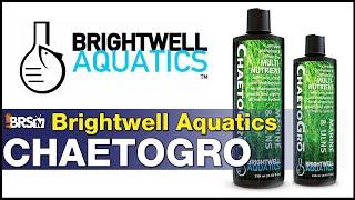 Brightwell Aquatics ChaetoGro:  It's fertilizer for your chaeto refugium. Simple.