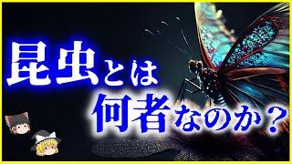 【ゆっくり解説】宇宙から来た⁉「昆虫」とは何者なのか？を解説/昆虫宇宙起源説とミッシングリンク・昆虫の進化の歴史について