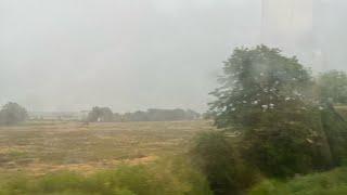 Rando York - Shorts and Trains is live! Great British summer