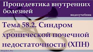 Тема 58.2. Синдром хронической почечной недостаточности (ХПН).