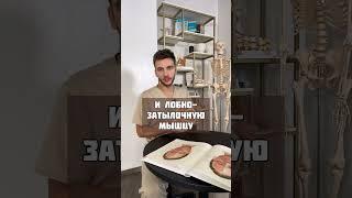 Как УБРАТЬ МОРЩИНЫ на ЛБУ?