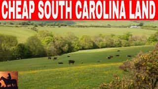 6 Places In South Carolina To Buy Cheap Land