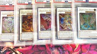 My Yu-Gi-Oh! 5Ds Signer Dragon PSA Graded Ultimate Rare Collection *UPDATE*!