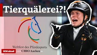 CHIO Aachen: Ist der Pferdesport Tierquälerei? | WDR Aktuelle Stunde