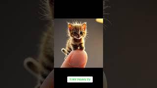  Moments with Tiny Kittens  #ai #cute #aiart #catwalkconfidence #aitrends #cat