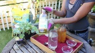 Natural Insecticides for a Vegetable Garden : Vegetable Gardening