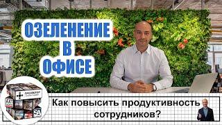 Как повысить продуктивность сотрудников - Озеленение в офисе