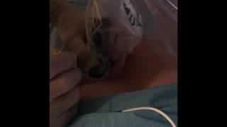 Radiofrecuencia RPNR Lumbar Ecoguiada