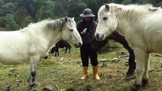 A Journey into the Herders Paradise