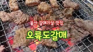 울산 갈매기살맛집 오륙도갈매기