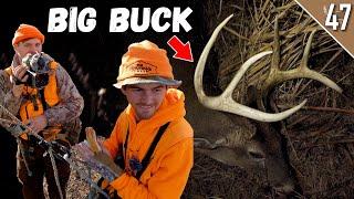 BIG BUCK in Camp! - (Hunting Pressured Public Land!)