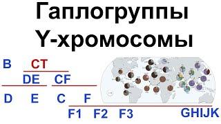 Гаплогруппы Y-хромосомы человека. Происхождение современных неафриканских линий Y-ДНК