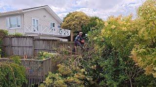 The Owner Said, "FINALLY! The Garden Is Cleaned Up!" | Overgrown Garden Transformation