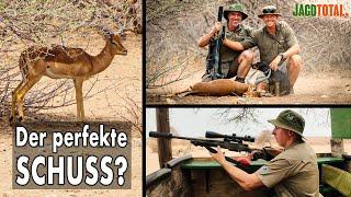 Der perfekte Schuss? | Ansitzjagd auf Impala | JAGD TOTAL