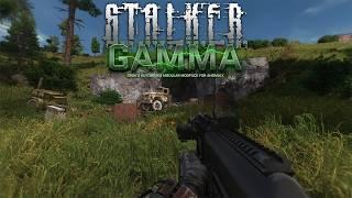 The ULTIMATE ADHD Guide to S.T.A.L.K.E.R GAMMA