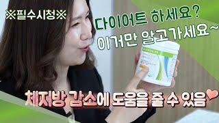 [허벌라이트를 켜줘!] 다이어트 관심있다면 알아둬야 할 제품들!