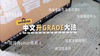 【2022DSE】中文(卷一)短時間極速升grade貼士小分享｜如何以一個月時間由合格邊緣考到5*？ ｜溫習中文的時間分配