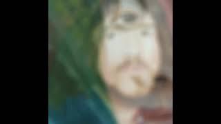 12 Paintings of John Frusciante by artist Irena Halder