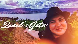 A Walk Through the Vineyards at Quail's Gate Winery - The Perfect Okanagan Experience!