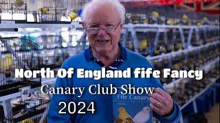 NORTH OF ENGLAND FIFE CANARY CLUB SHOW 2024