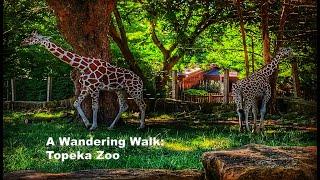 Topeka Zoo – Topeka, KS: Wandering Walks of Wonder Slow TV Walking Tour 4K