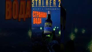 Легендарный артефакт "Странная вода" в игре S.T.A.L.K.E.R. 2: Heart of Chornobyl.