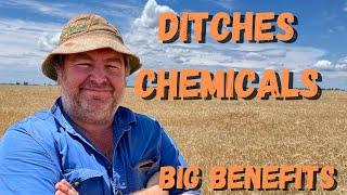 Crop Farmer Ditches Chemicals, Reaping Rewards