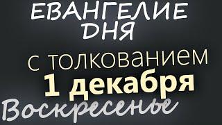 1 декабря, Воскресенье. Евангелие дня 2024 с толкованием. Рождественский пост