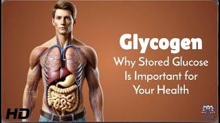 Glycogen Explained: The Energy Booster Your Body Relies On!