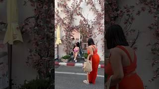 为什么现在来泰国旅游的国人越来越少了到底是什么原因呢 #trip #泰國 #thailandtravel #熱門