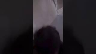 Hilarious Viral Video Compilation: Watch the Pun-ny Superstar in Action!