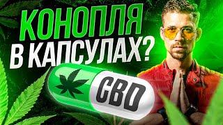 Для чего нужен CBD (каннабидиол).  Добавка из конопли для улучшения психо-эмоционального состояния.