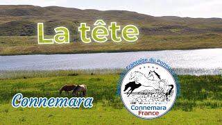 Guide du présentateur (partie 2) : La tête du Connemara