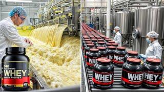 How Whey Protein Is Made in Factory | Protein Powder Manufacturing Process