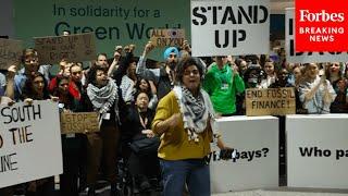 'Pay Up For Climate Finance': Protestors Gather At The UN COP29 Summit In Baku, Azerbaijan