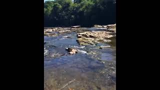 Aysgarth falls