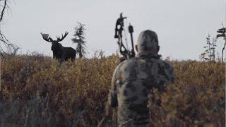 Every Year - Alaskan Archery Moose Hunt