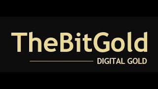 BITGOLD WHITEPAPER ( Official)