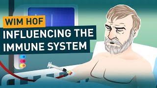 Einflussnahme auf das Immunsystem | Wissenschaft zur Wim Hof Methode