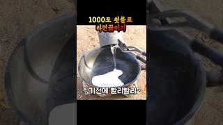 라면은 1000도에서 가장 맛있습니다. #실험 #요리 #꿀팁