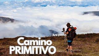 The Camino Primitivo: Possibly the BEST Route? / Santiago de Compostela Day 1-4