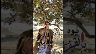 قصيدة البرد /جديد/ أميرالقوافي/ الشاعر مراد ضياء /يو يالطيف والبرد مانا قد اعياني